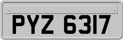 PYZ6317