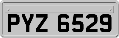 PYZ6529