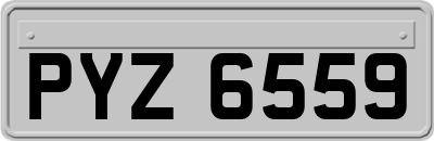 PYZ6559