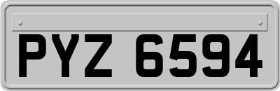 PYZ6594