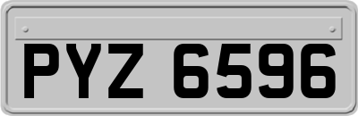 PYZ6596