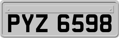 PYZ6598