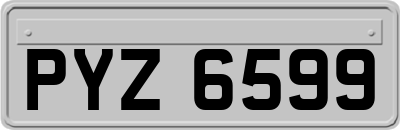 PYZ6599