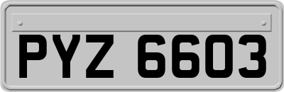PYZ6603