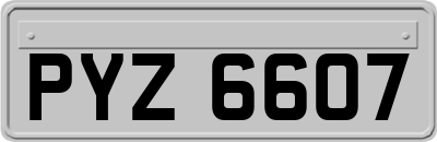 PYZ6607