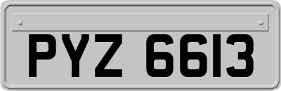 PYZ6613