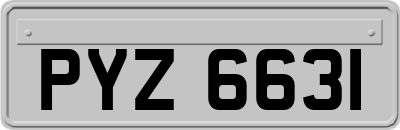 PYZ6631