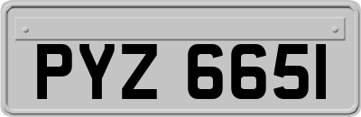 PYZ6651