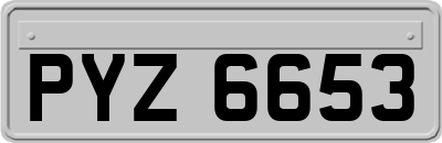 PYZ6653