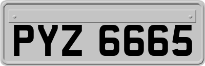 PYZ6665