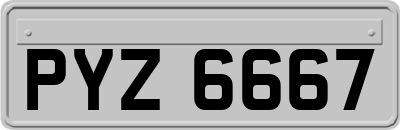 PYZ6667