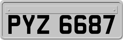 PYZ6687