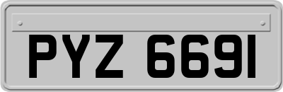 PYZ6691