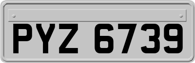 PYZ6739