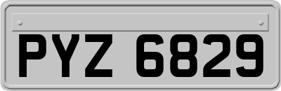 PYZ6829