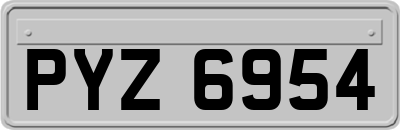 PYZ6954