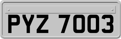 PYZ7003