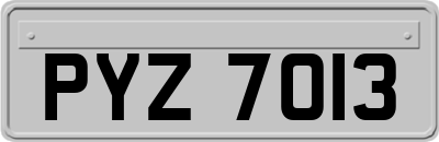 PYZ7013