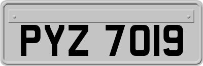 PYZ7019