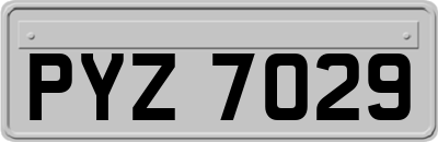 PYZ7029