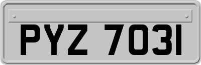 PYZ7031