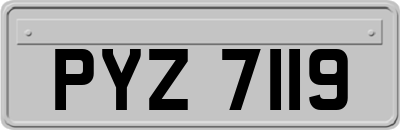PYZ7119