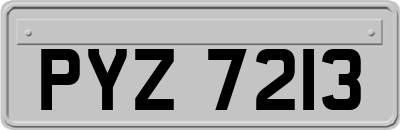 PYZ7213