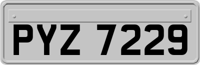 PYZ7229