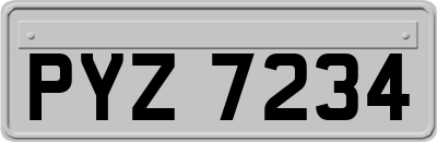 PYZ7234