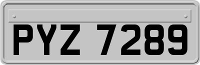 PYZ7289