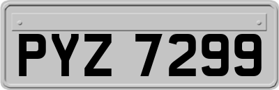 PYZ7299