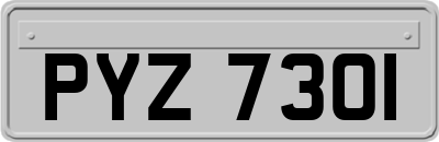 PYZ7301