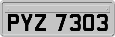 PYZ7303