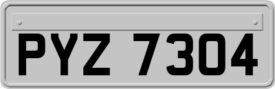 PYZ7304