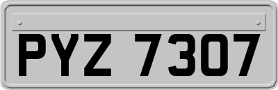PYZ7307