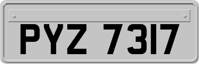 PYZ7317