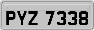 PYZ7338
