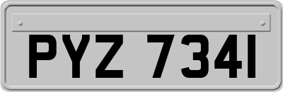 PYZ7341