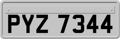 PYZ7344