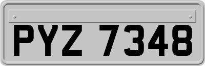 PYZ7348