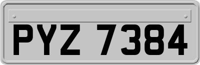 PYZ7384