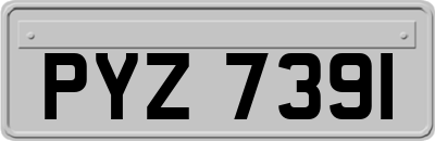 PYZ7391