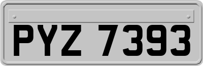 PYZ7393