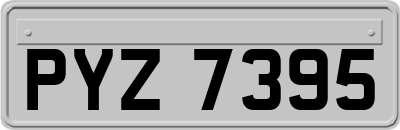 PYZ7395