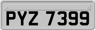 PYZ7399
