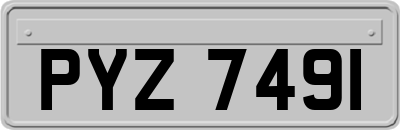 PYZ7491