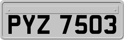 PYZ7503