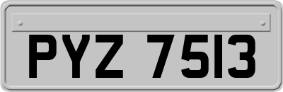 PYZ7513