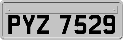 PYZ7529