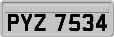 PYZ7534